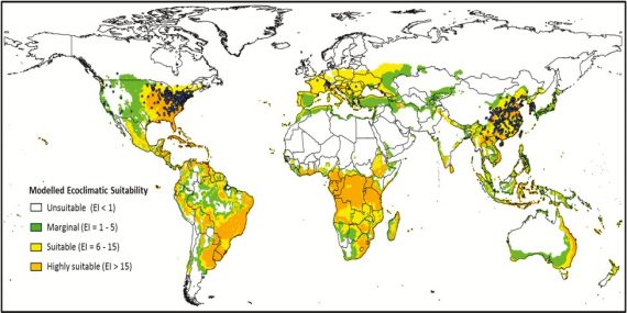 New publication alert: climate change and the brown marmorated stink ...